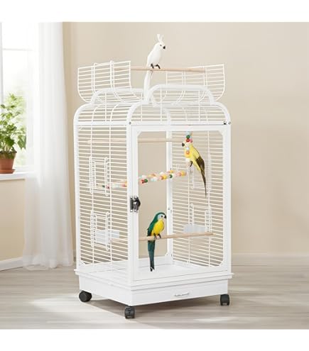 Amazon | Ruexue鳥かご 透明アクリル扉 ダブルロック設計 清掃が簡単